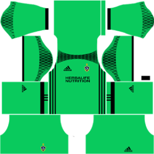 dream league soccer kit goalkeeper