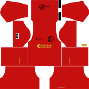 t-team dls goalkeeper home kit 2017-2018