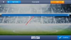 Write Team name dream league soccer