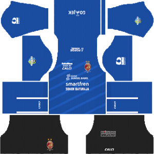 Sriwijaya FC?? 2021 kits for Pro League Soccer - Imgur