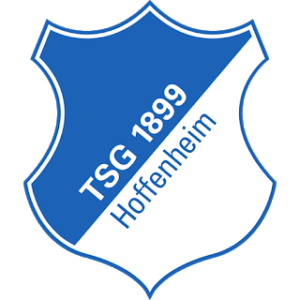 TSG Hoffenheim Logo 512×512 URL