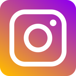 instagram dls logo