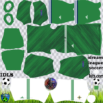 Northern Ireland DLS Kits 2021 – Dream League Soccer 2021 Kits Logos
