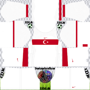 Turkey DLS Kit 2021 Home For DLS19