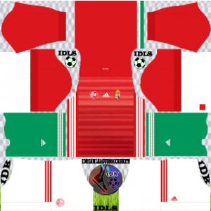 Hungary DLS Kit 2021 Home For DLS19