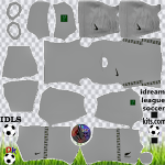 New Zealand DLS Kits 2021 – Dream League Soccer 2021 Kits & Logos