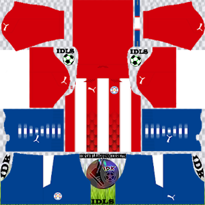 Paraguay DLS Kit 2021 home For DLS19