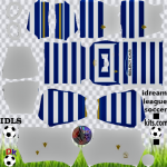 Reading FC DLS Kits 2022 – Dream League Soccer 2022 Kits & Logos