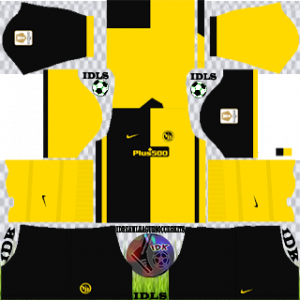 Young Boys DLS Kits 2022