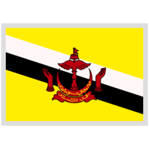 Brunei Darussalam Logo