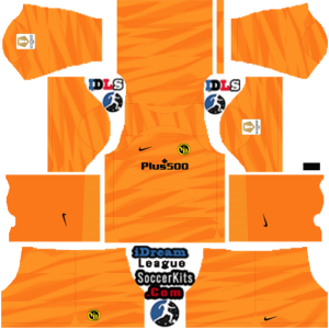 BSC Young Boys dls kit 2024 gk away