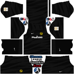 BSC Young Boys dls kit 2024 gk home