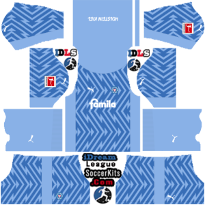 Holstein Kiel dls kit 2025 gk away