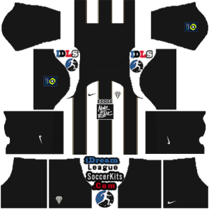 Angers DLS Kits 2025