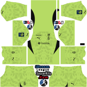 Stade de Reims dls kit 2025 gk away