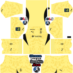 Stade de Reims dls kit 2025 gk home