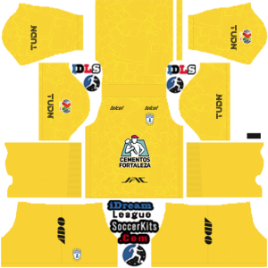 Pachuca FC dls kit 2025 gk third