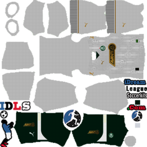 Palmeiras dls kit 2025 away